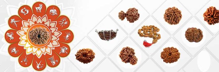 Ten Mukhi Rudraksh